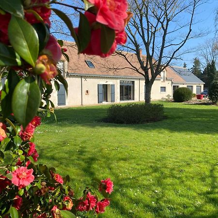 Au Ginkgo Bed & Breakfast Chaumont-sur-Loire Exterior photo